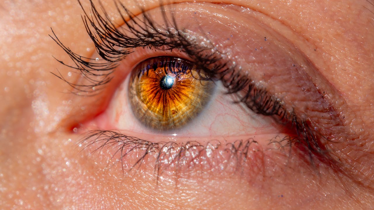 Detailed close-up image of a human eye with vivid brown iris and long eyelashes.